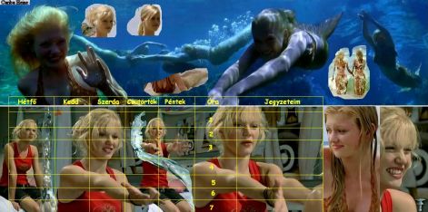 collagen-of-h2o-just-add-water-h2o-just-add-water-619773_1280_960.jpg