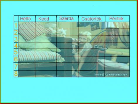 rikki1.jpg